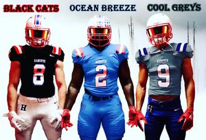 Image post by @hanoverftbl on Instagram