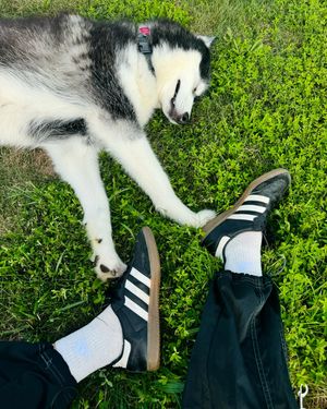 Image post by @evegodat on Instagram