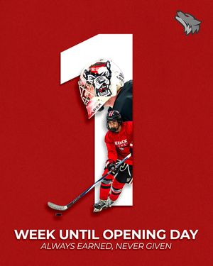 Image post by @ncstatehockey on Instagram