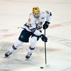Image post by @nd_hockey on Instagram