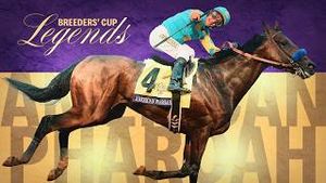 Video post by @worldhorseracing on YouTube
