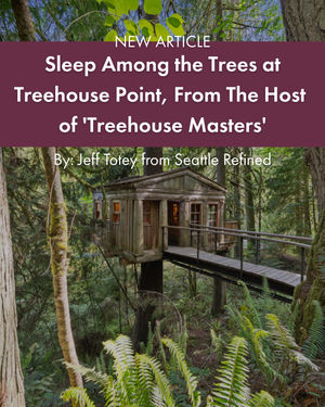 Image post by @treehousepoint on Instagram