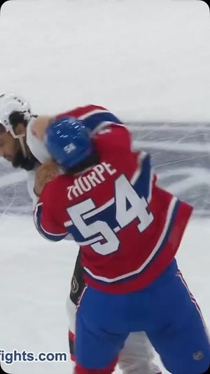 Video post by @hockeyfights on Instagram