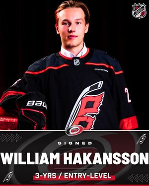 Image post by @puckreportnhl on Instagram
