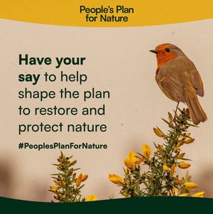 Image post by @rspb on Instagram