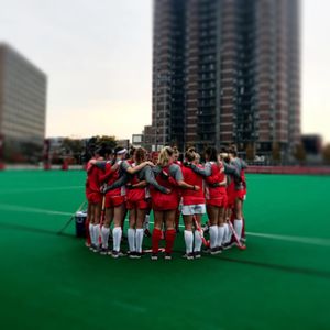 Image post by @terrierfh on Instagram
