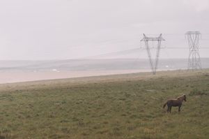 Image post by @selenaxsun on Instagram