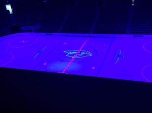 Image post by @predsnhl on Instagram