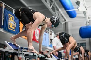 Image post by @spiderswimdive on Instagram