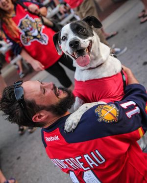 Image post by @flapanthers on Instagram