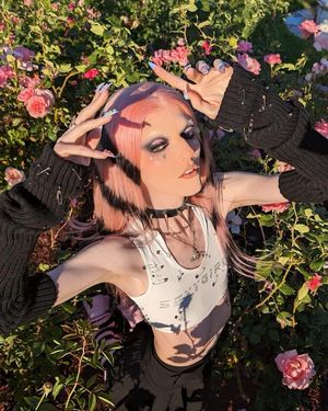 Image post by @lillyteel on Instagram