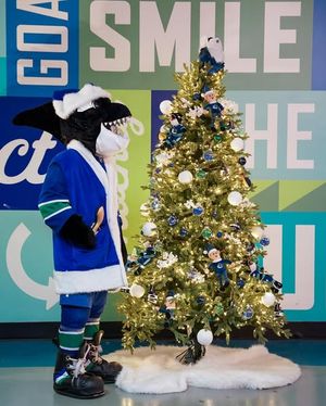 Image post by @canucksfin on Instagram