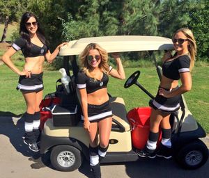Image post by @lakingsicecrew on Instagram