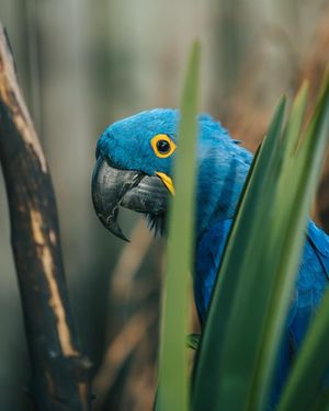 Image post by @alejandrotakesphotoss on Instagram