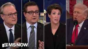 Video post by @msnbc on YouTube