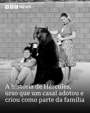 Image post by @bbcbrasil on Instagram