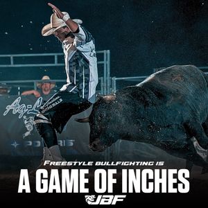 Image post by @ultimatebullfighters on Instagram