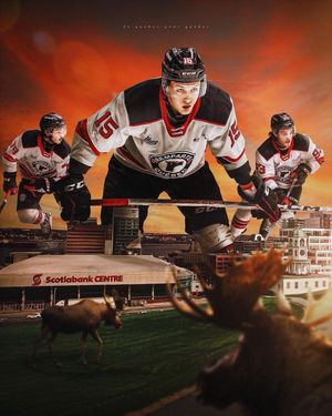Image post by @lhjmq_qmjhl_ on Instagram