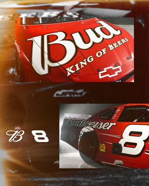 Image post by @dalejr on Instagram