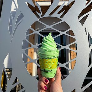 Image post by @hawaiianbros on Instagram