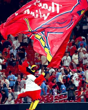 Image post by @stlcardenales on Instagram