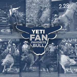 Image post by @PBR on Twitter