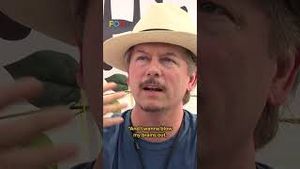 Video post by @funnyordie on YouTube