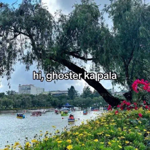 Image post by @abscbnmusic on TikTok