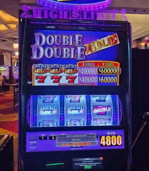 Image post by @hardrocktampa on Instagram