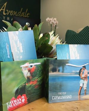Image post by @AvondaleTravel on Facebook