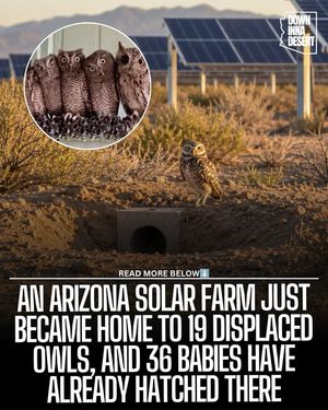 Image post by @downinnadesert on Instagram