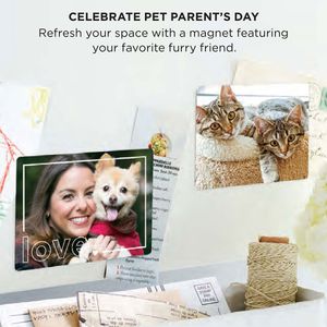 Image post by @Shutterfly on Twitter