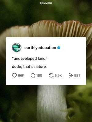 Image post by @commonsearth on Instagram