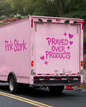 Image post by @pinkstork on Instagram