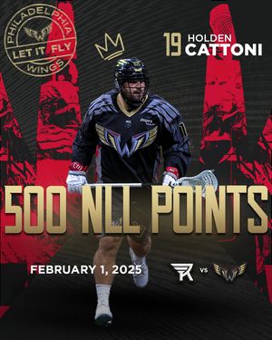 Image post by @nllwings on Instagram