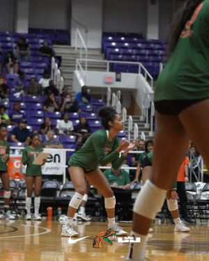 Image post by @famuvb on Instagram