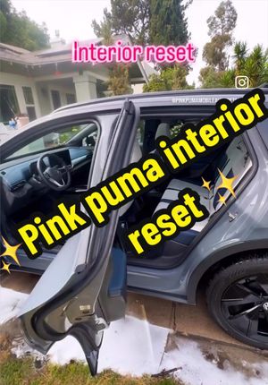 Video post by @pinkpumamobileautodetail on TikTok