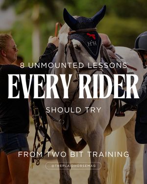 Image post by @theplaidhorsemag on Instagram