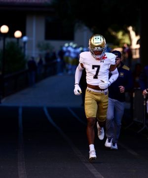 Image post by @thefightingirish on Instagram