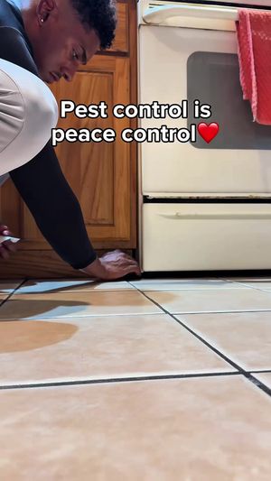 Video post by @ortho on TikTok