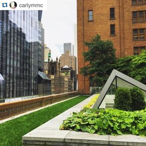 Image post by @carnegiehall on Instagram