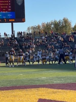 Image post by @zipsfb on Instagram