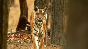 Video post by @bbcearth on YouTube