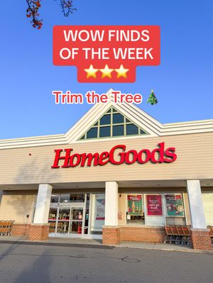 Video post by @homegoods on TikTok