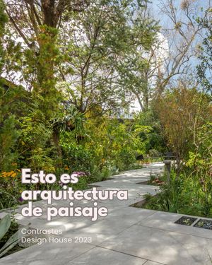 Image post by @fernandarionda on Instagram