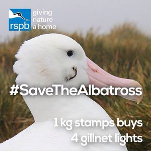 Image post by @rspb on Instagram