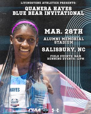 Image post by @bluebearathletics on Instagram