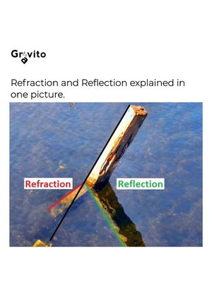 Image post by @gravitonomy on Instagram