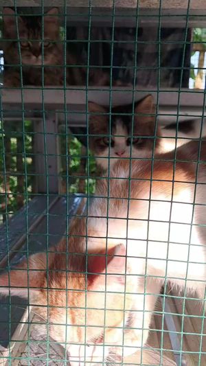 Video post by @da7april on TikTok