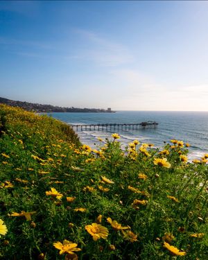 Image post by @ucsdadmissions on Instagram